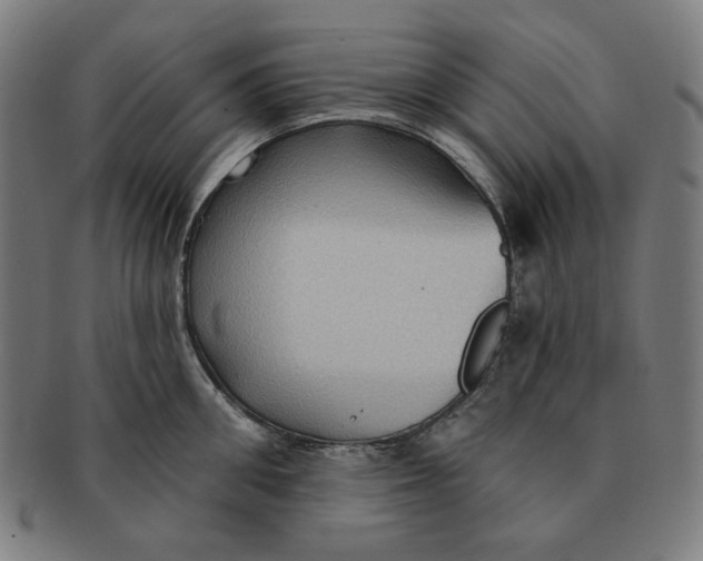 X0000090980906200708241400