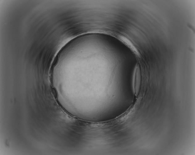 X0000090980908200708241400