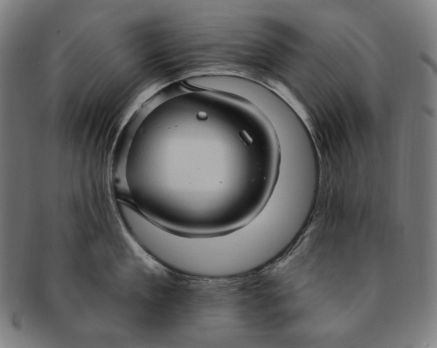 X0000090980909200708241400