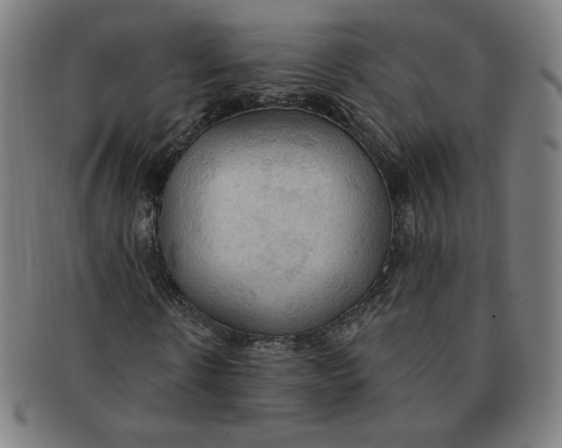 X0000090980914200708241359