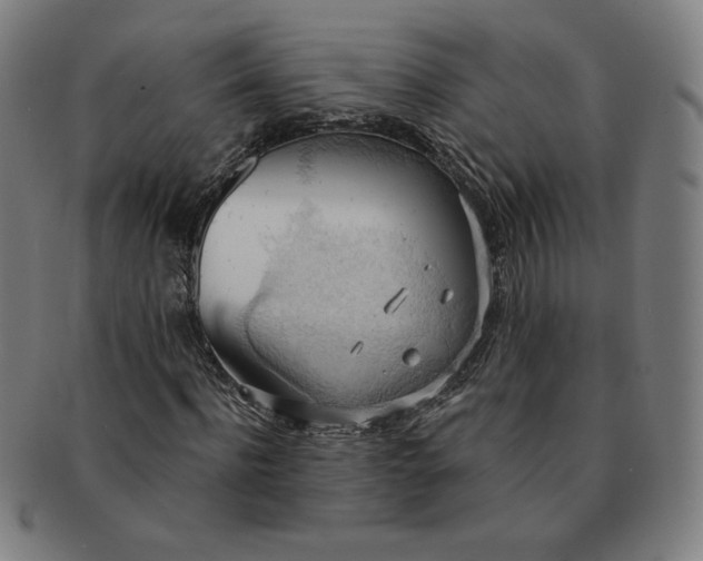 X0000090980916200708241359