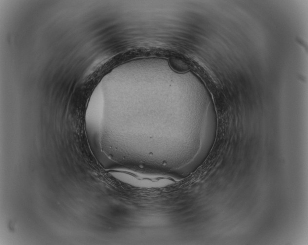 X0000090980919200708241400