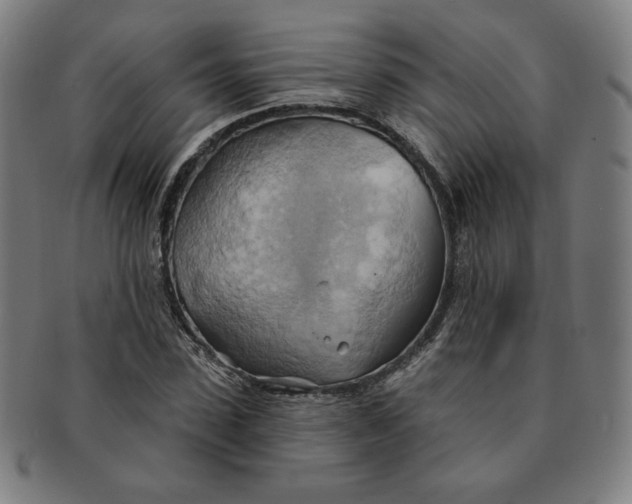 X0000090980923200708241400