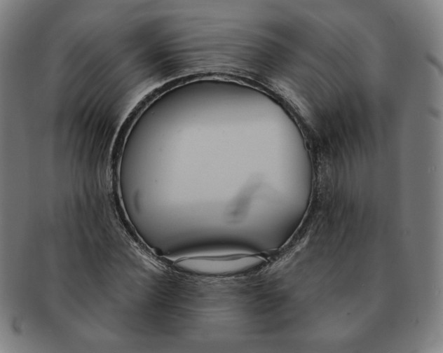 X0000090980924200708241400