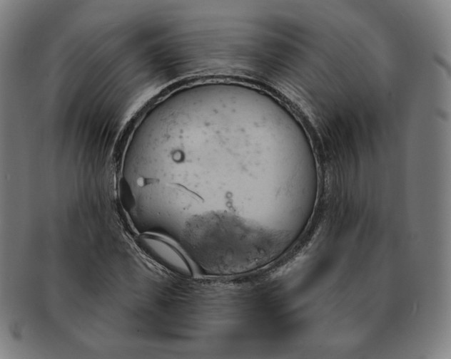 X0000090980925200708241400