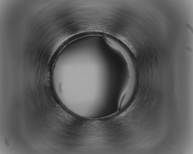 X0000090980926200708241400