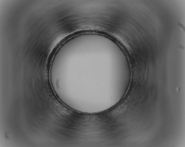 X0000090980927200708241400