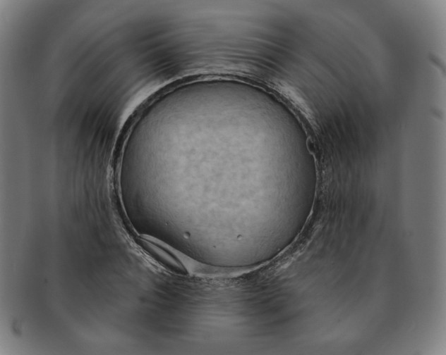 X0000090980928200708241400
