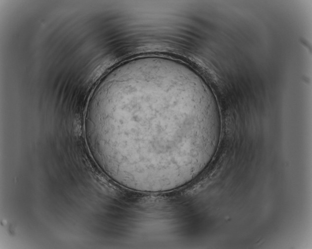 X0000090980929200708241400