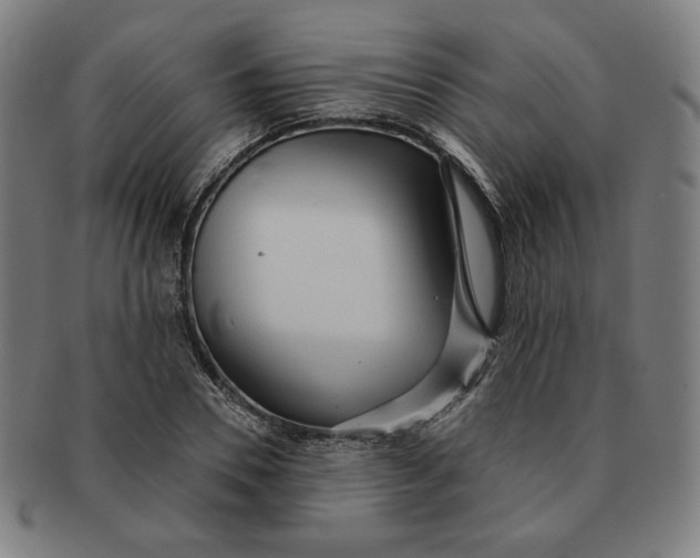 X0000090980930200708241400