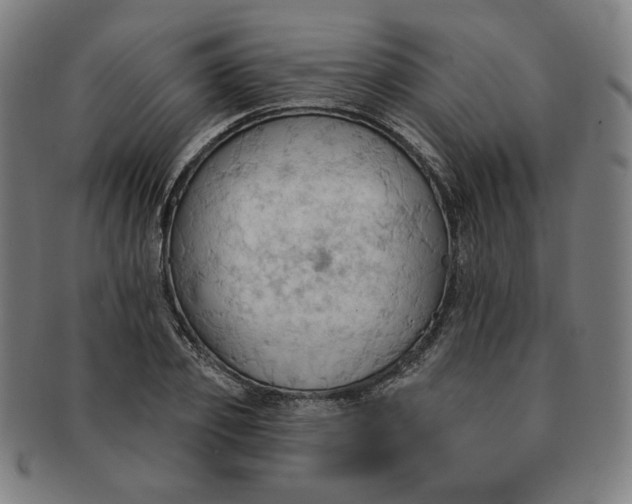 X0000090980933200708241400