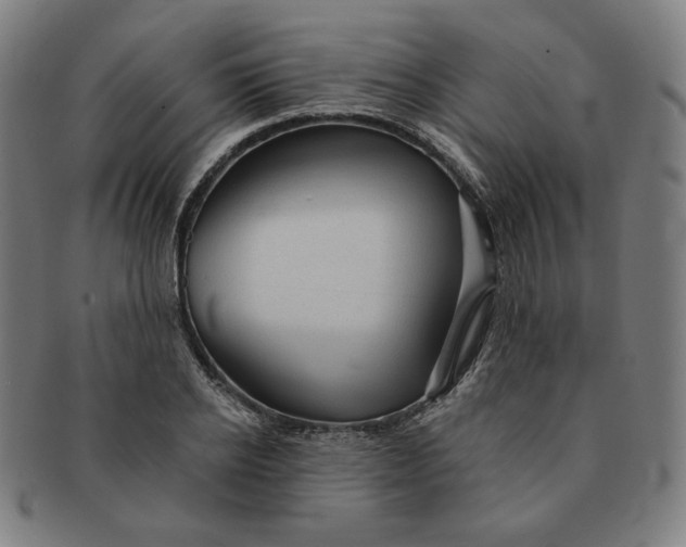 X0000090980934200708241400