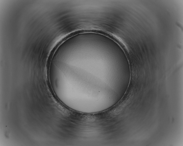X0000090980935200708241400