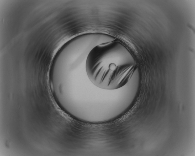 X0000090980936200708241400