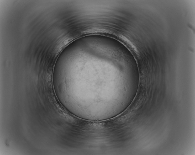 X0000090980937200708241400