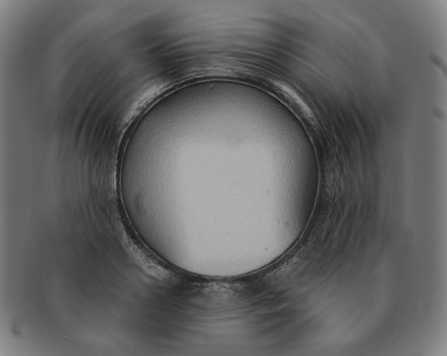 X0000090980938200708241400