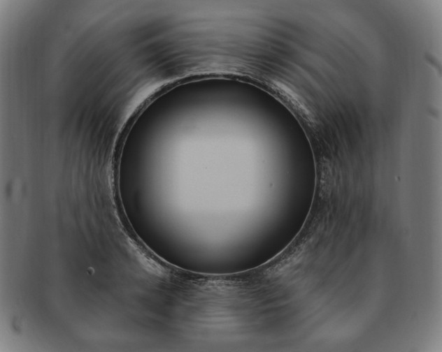 X0000090980942200708241400