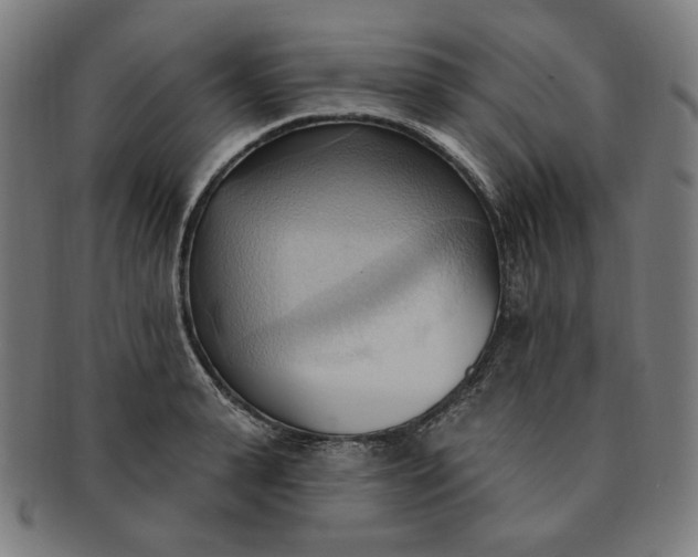 X0000090980943200708241400