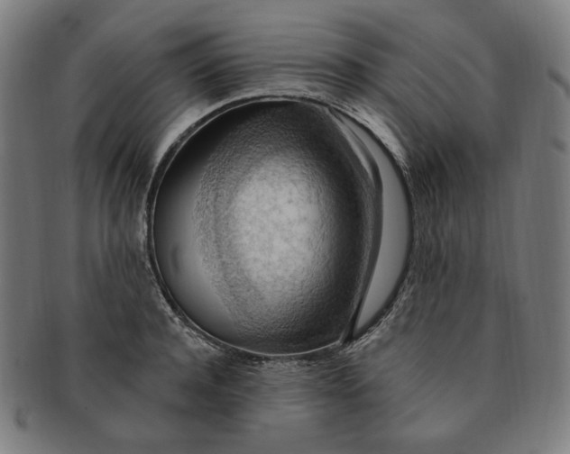X0000090980944200708241400