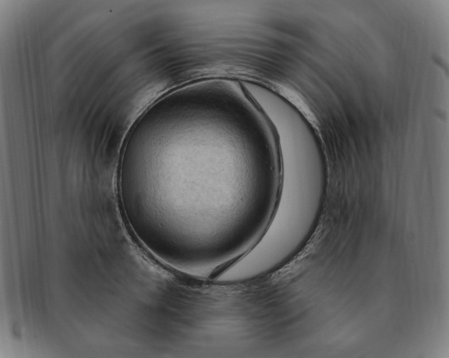 X0000090980946200708241400