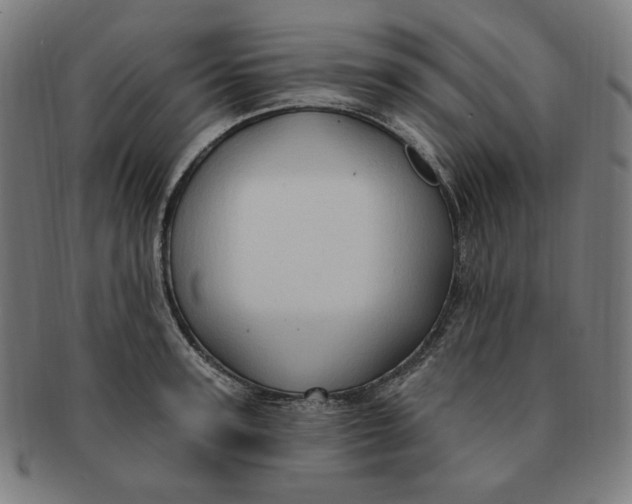 X0000090980947200708241400