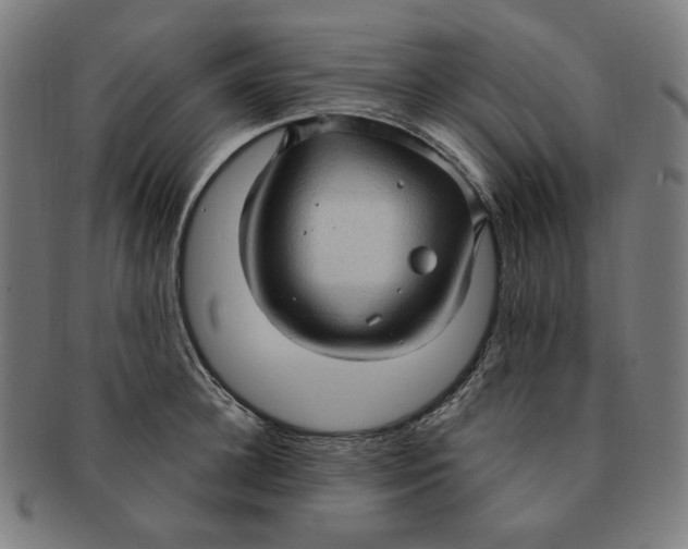 X0000090980948200708241400