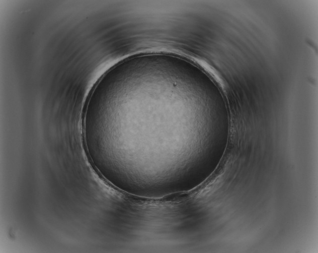 X0000090980951200708241400