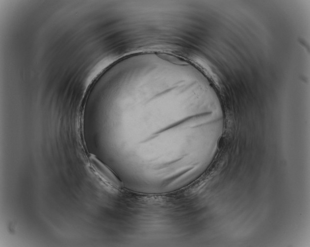 X0000090980952200708241400