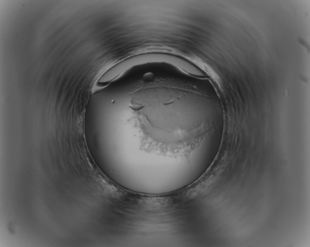 X0000090980953200708241400
