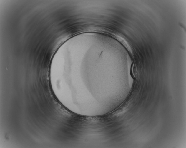 X0000090980954200708241400