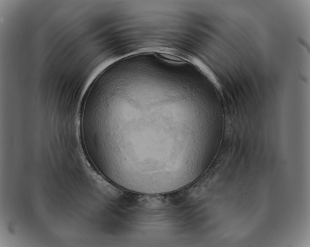 X0000090980955200708241400