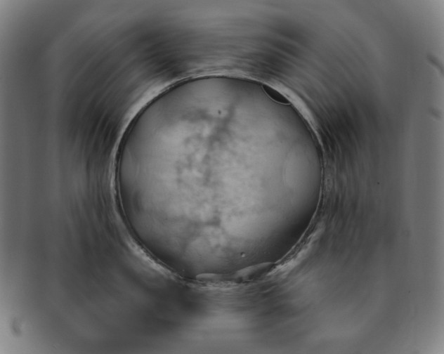 X0000090980957200708241400
