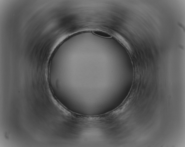 X0000090980958200708241400