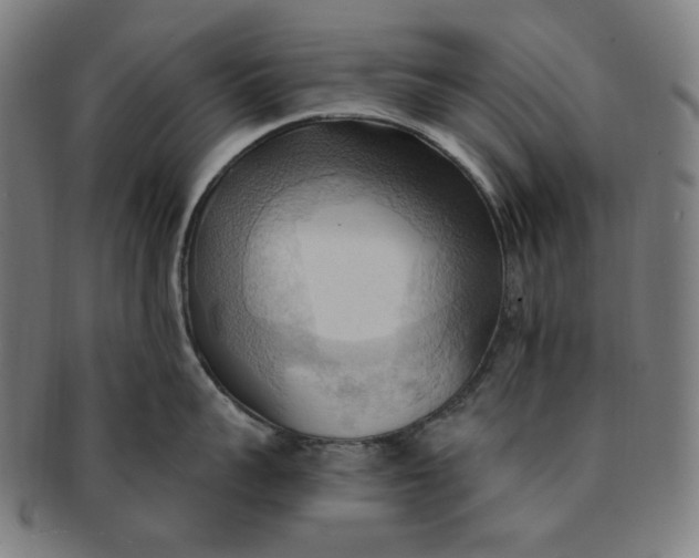X0000090980959200708241400