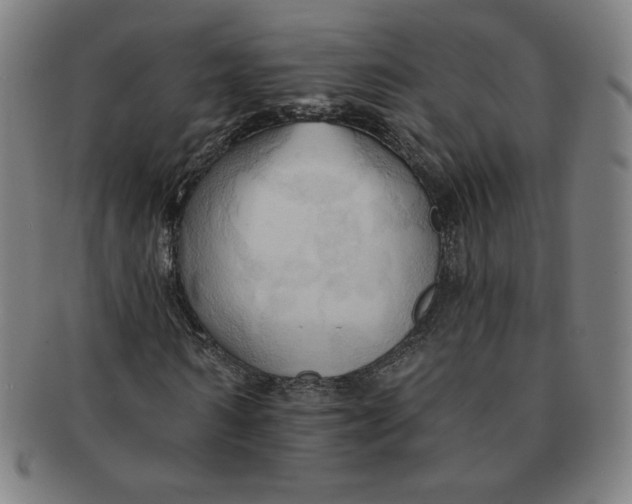 X0000090980962200708241359