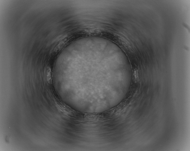 X0000090980963200708241359