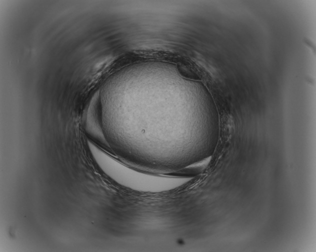 X0000090980965200708241359