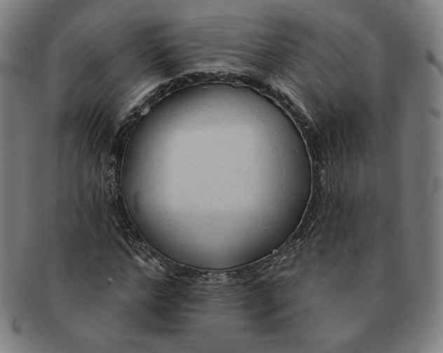 X0000090980968200708241359