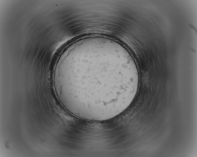 X0000090980971200708241359