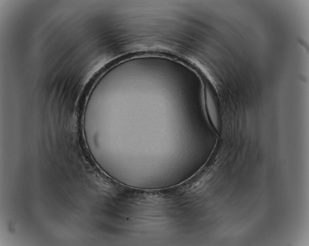 X0000090980975200708241359