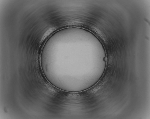 X0000090980978200708241359