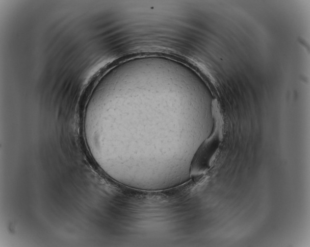 X0000090980979200708241359
