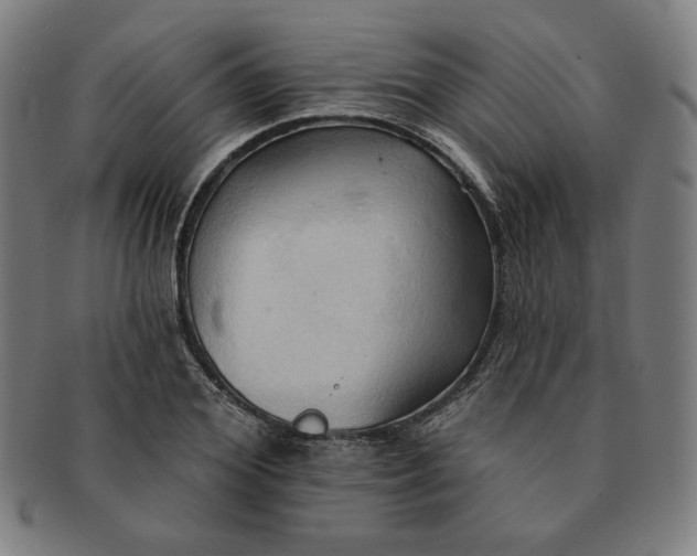X0000090980980200708241359