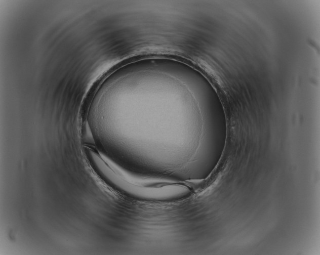 X0000090980981200708241359