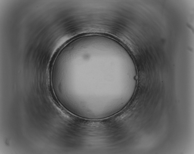 X0000090980982200708241359