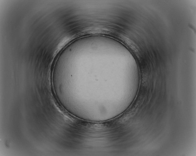 X0000090980986200708241359