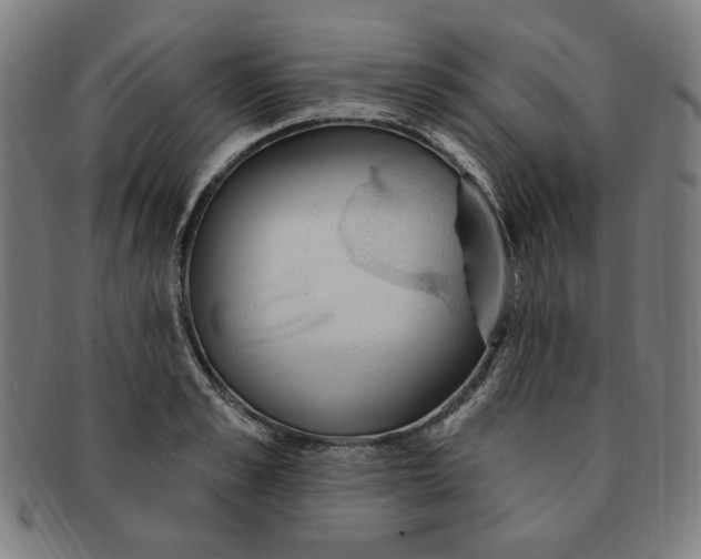 X0000090980989200708241359