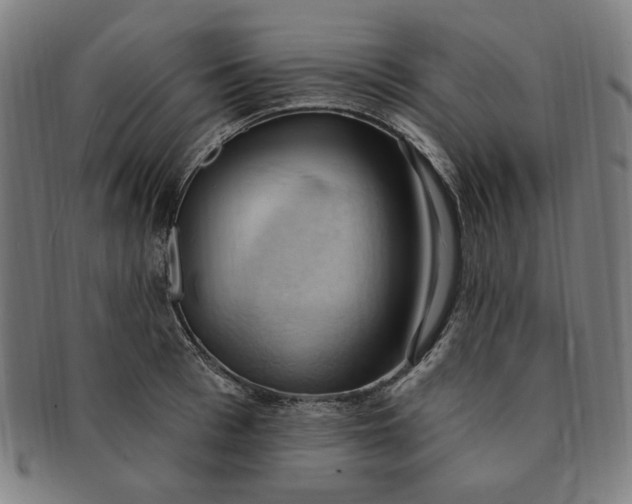 X0000090980993200708241359