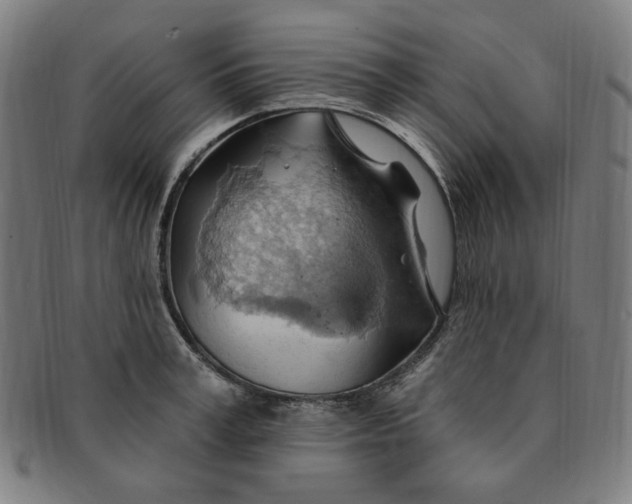 X0000090980995200708241359