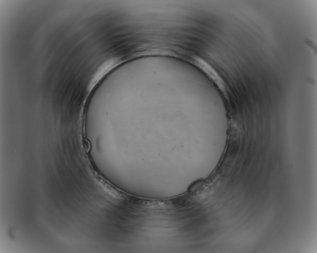 X0000090981002200708241359